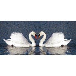 ФОТОТАПЕТ ФЛИС 202X90/1Ч...