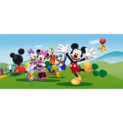 ФОТОТАПЕТ DISNEY ФЛИС...