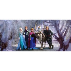 ФОТОТАПЕТ DISNEY ФЛИС...